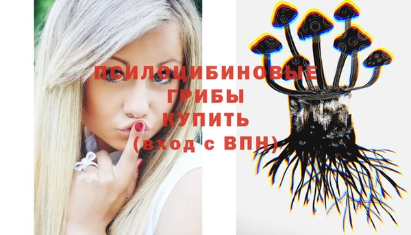 каннабис Богородицк