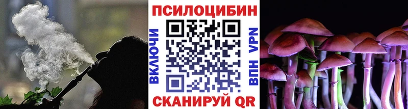 ссылка на мегу онион  Прокопьевск  Псилоцибиновые грибы Psilocybe 