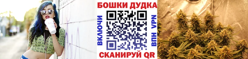 Конопля ГИДРОПОН закладка Прокопьевск
